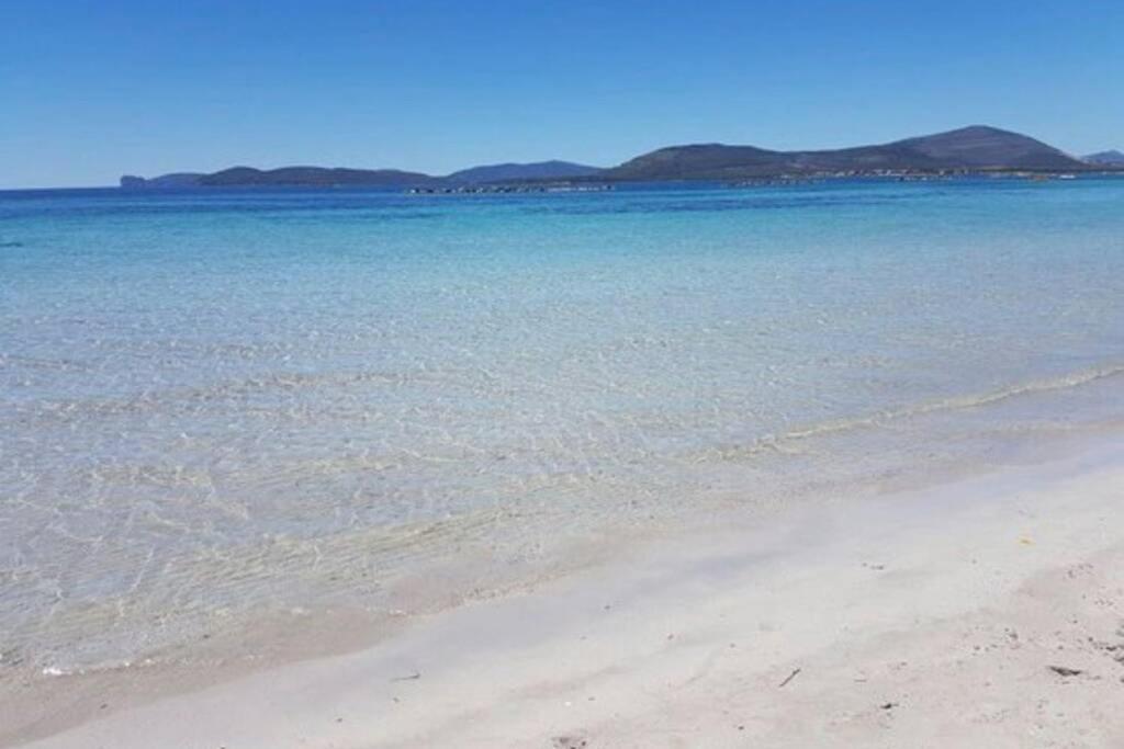 Alghero Sun & Sea - Spiaggia A 50 Metri מראה חיצוני תמונה